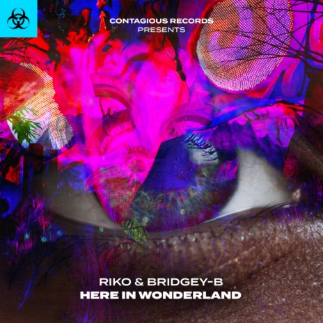 Here In Wonderland (Radio Edit) ft. Bridgey-B | Boomplay Music