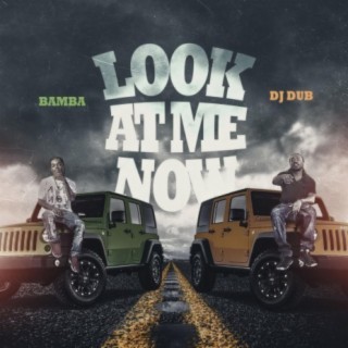 look at me now (feat. Dj Dub & Rena Rodger)