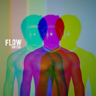 Flow Switch