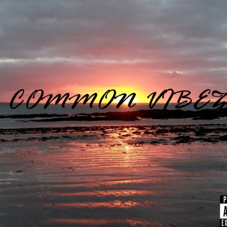 Common Vibez & Baby Doll (Talk yo Sh!t) | Boomplay Music