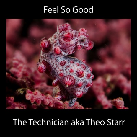 Feel So Good | Boomplay Music