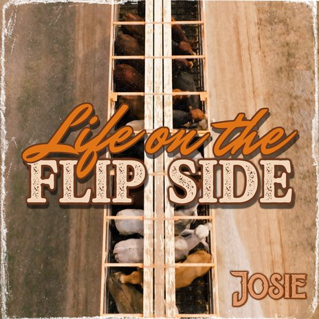 Life On The Flip Side | Boomplay Music