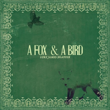 A Fox & A Bird | Boomplay Music