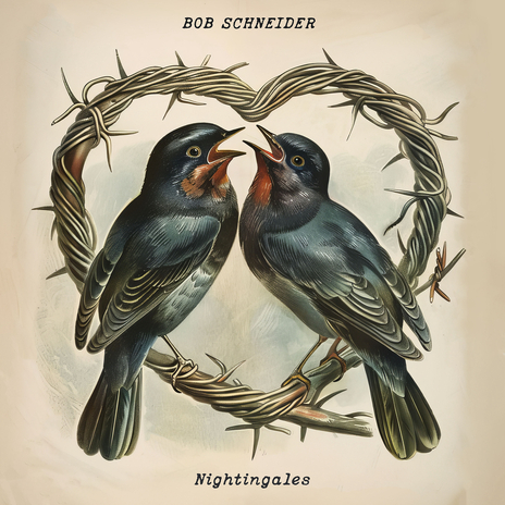 Nightingales (Song Club) | Boomplay Music