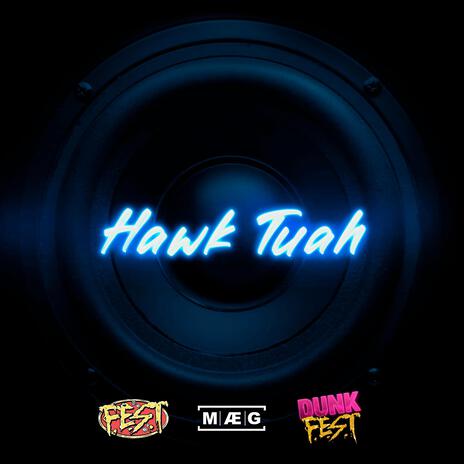 Hawk tuah ft. MÆG & DUNK F.E.S.T | Boomplay Music