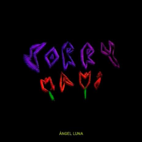 Sorry Mami | Boomplay Music