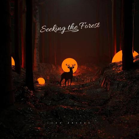 Seeking the Forest (Room Recording) | Boomplay Music