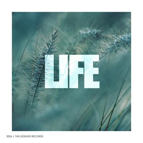 Life (Original Mix) | Boomplay Music