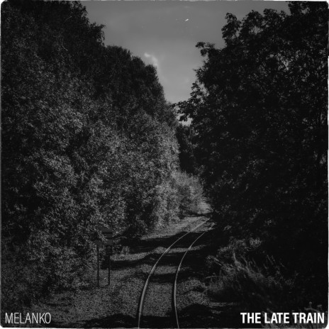 The Late Train | Boomplay Music