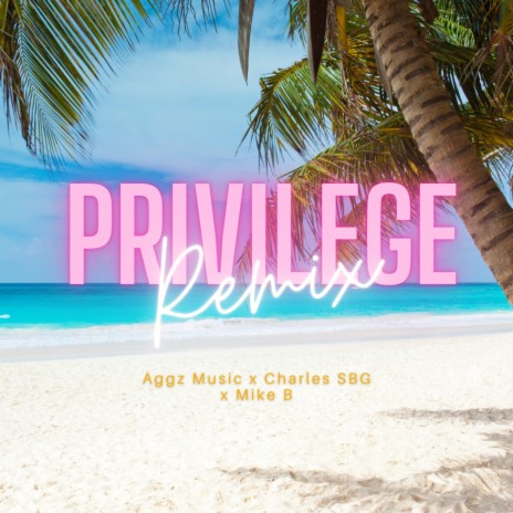 Privilege (feat. Aggz Music & Mikeb) (Remix)