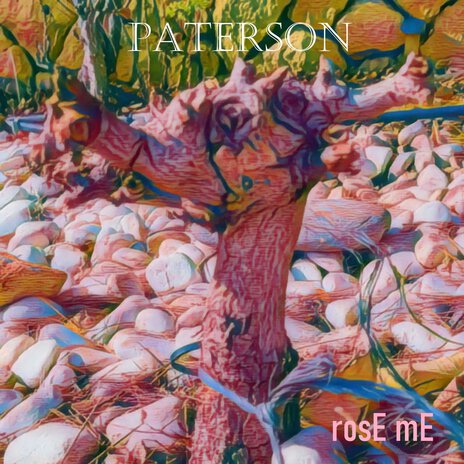 Paterson | Boomplay Music