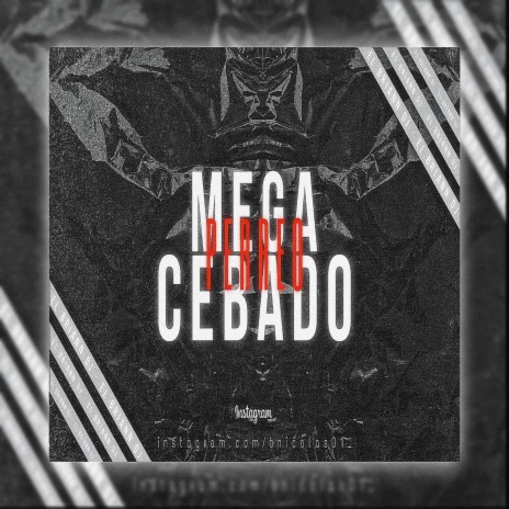 MEGA PERREO CEBADO | Boomplay Music