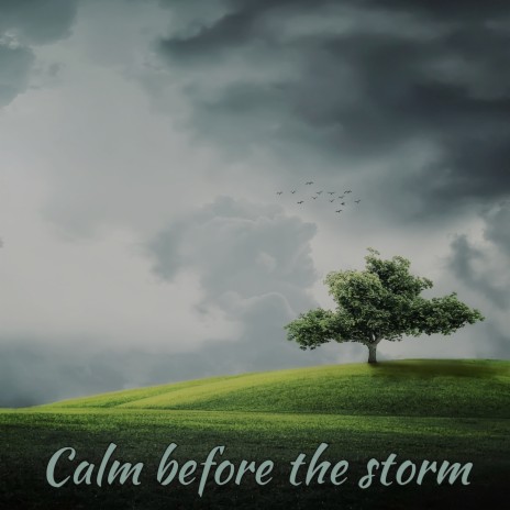 Calm Before The Storm | Boomplay Music