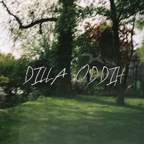 DILLA ODDIH ft. Žena | Boomplay Music