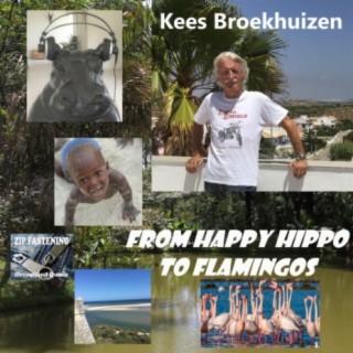 from Happy Hippo to Flamingos