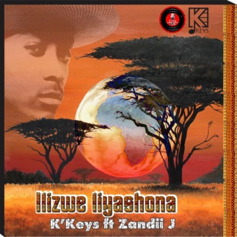 Ilizwe Liyashona ft. Zandii J | Boomplay Music