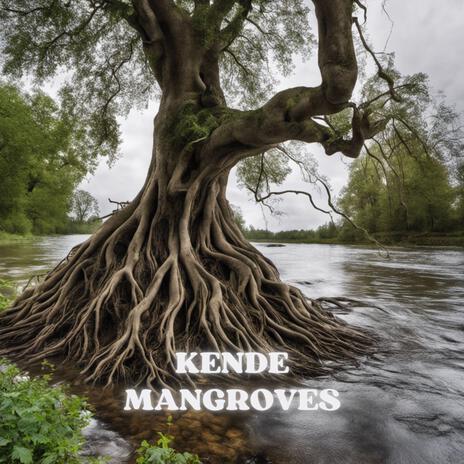 Mangroves (Radio) | Boomplay Music