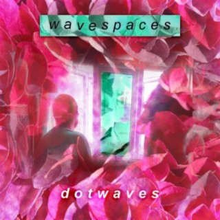 wavespaces