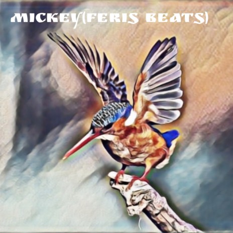 Mickey (Feris Beats) | Boomplay Music
