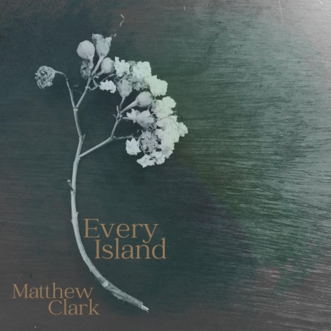 Every Island | Boomplay Music