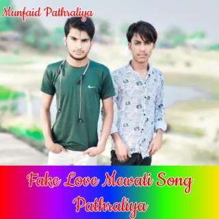 Fake Love Mewati Song Pathraliya