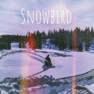 Snowbird