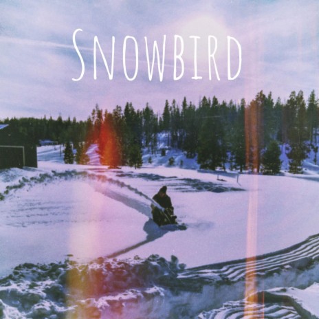 Snowbird ft. Nick Casasanto