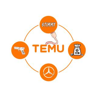 Temu Connects