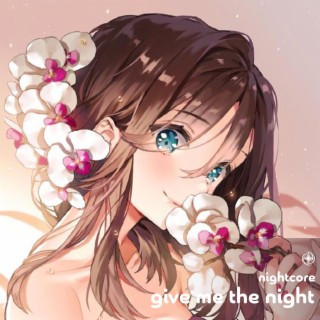 Give Me The Night - Nightcore