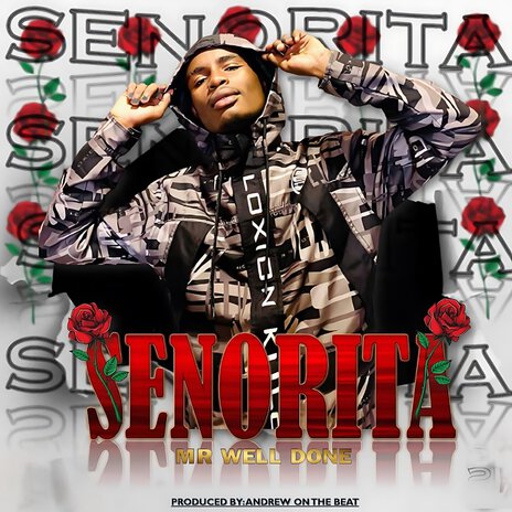 Senorita | Boomplay Music