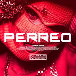 PERREO (PISTA DE REGGAETON)