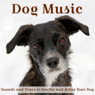 Dog Music: Sounds and Tones to Soothe and Relax Your Dog