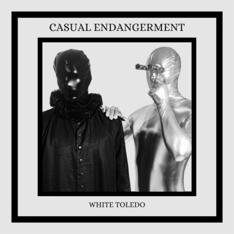 Casual Endangerment | Boomplay Music