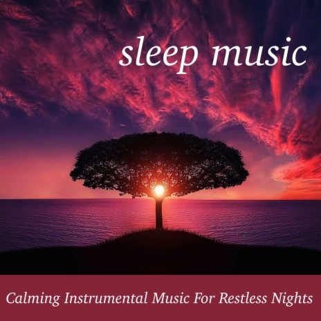 Calm Music to Sleep Too