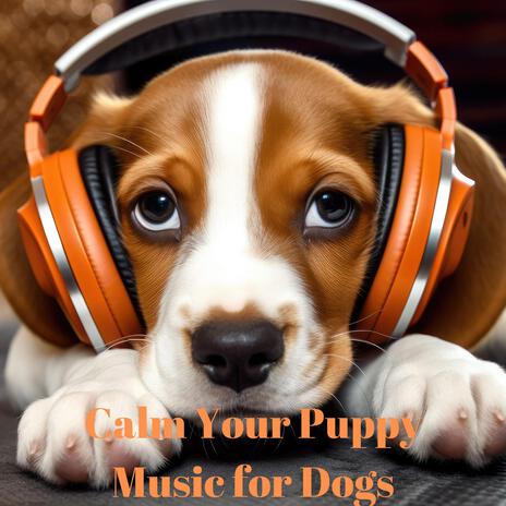 Reassuring Rhythms ft. Dog Chill Music & Dog Relaxation!