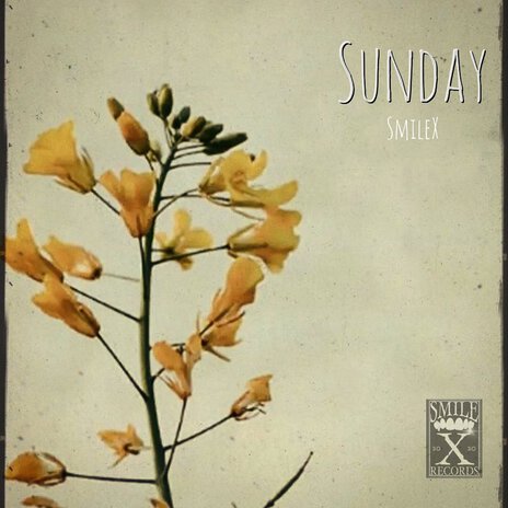 Sunday | Boomplay Music