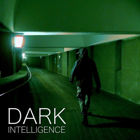 Dark Intelligence | Boomplay Music