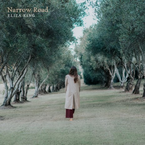 Narrow Road | Boomplay Music