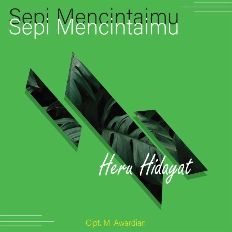 Sepi Mencintaimu | Boomplay Music