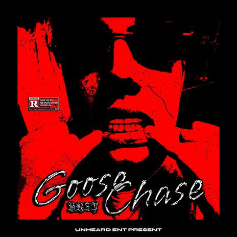 Goose Chase | Boomplay Music