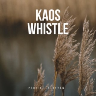 Kaos Whistle