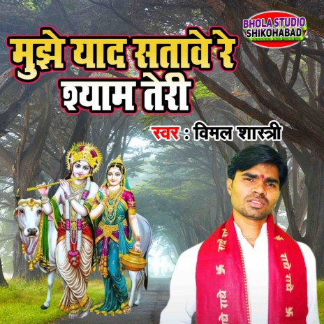 Yaad Satave Re Shyam Teri | Boomplay Music