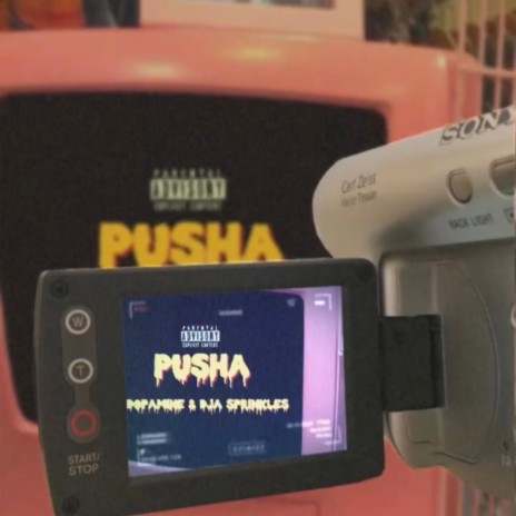 Pusha | Boomplay Music