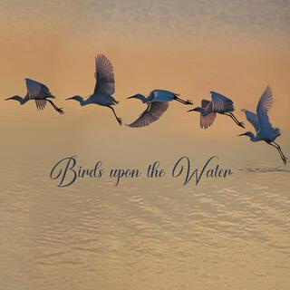 Birds Upon The Water