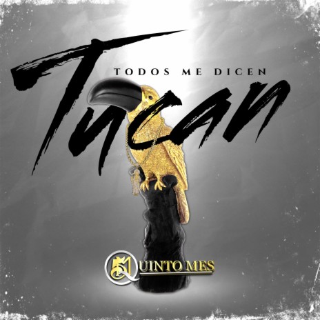 Todos me dicen Tucán | Boomplay Music