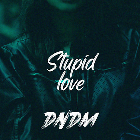 Stupid Love | Boomplay Music