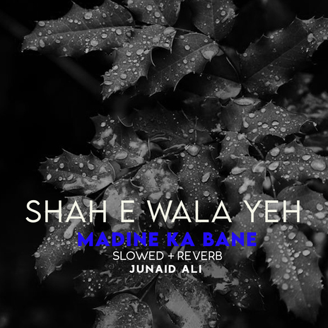 Shah e Wala Yeh Madine Ka Bane Lofi | Boomplay Music