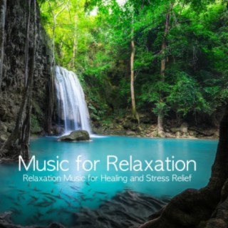 Relaxation Meditation and Spa