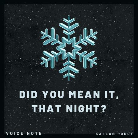 did you mean it, that night? (Voice Note) | Boomplay Music