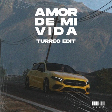 Amor De Mi Vida (Turreo Edit) | Boomplay Music